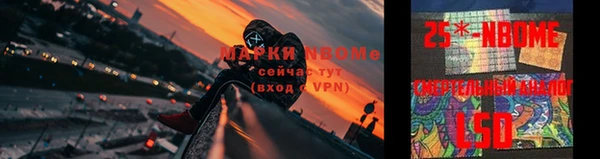 дмт Алзамай