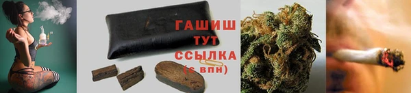 дмт Алзамай