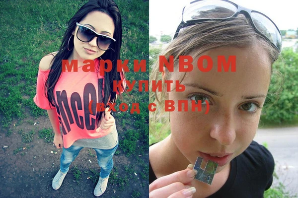 дмт Алзамай