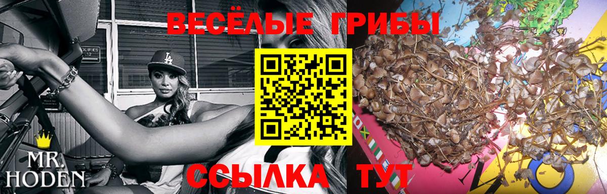 Псилоцибиновые грибы прущие грибы Люберцы