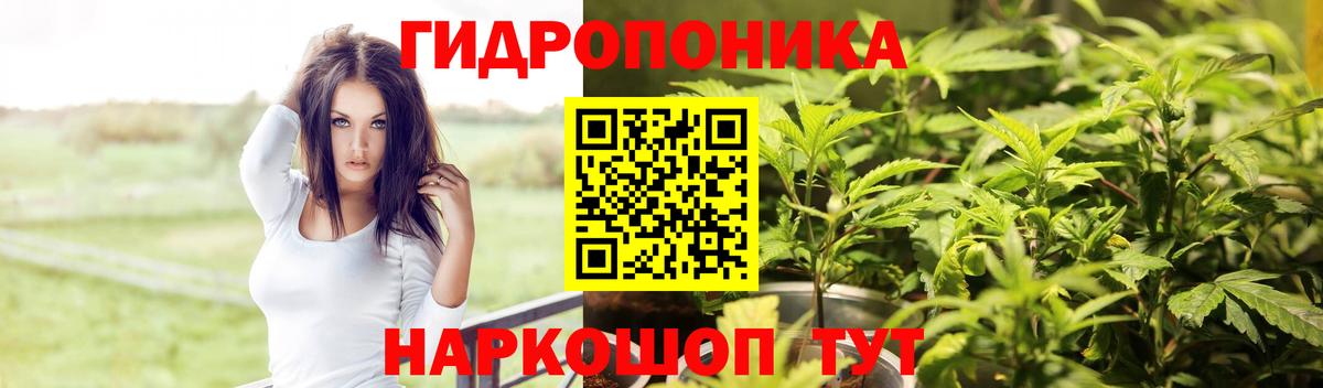 Конопля индика  Вход с VPN  Люберцы  Бошки Шишки THC 21% 